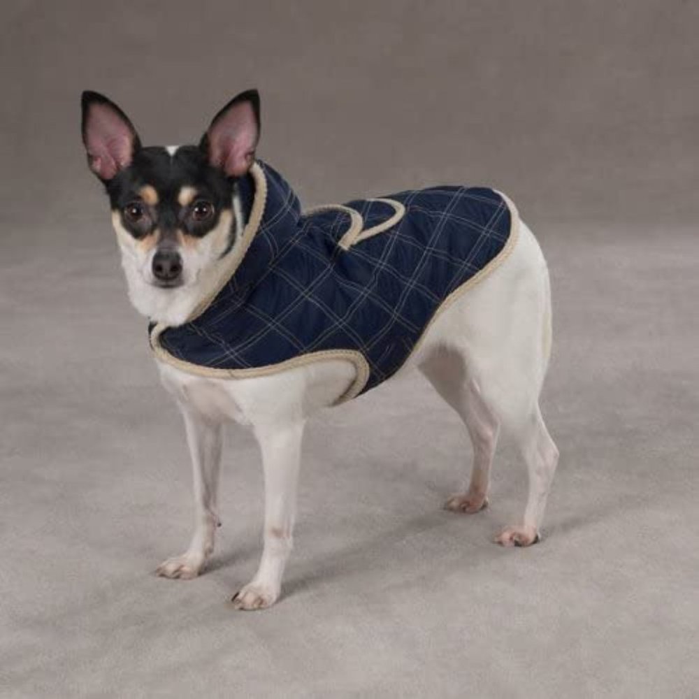 🐾NWT XS Zack and Zoey Quilted Jacket Navy